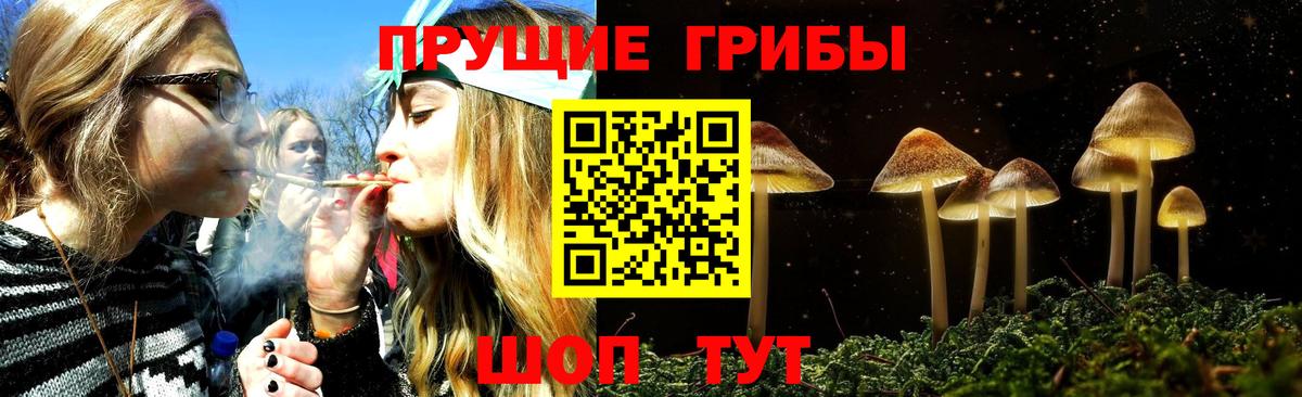 Сухой Лог  Галлюциногенные грибы прущие грибы  дарнет шоп  Вход с VPN  Галлюциногенные грибы ЛСД 